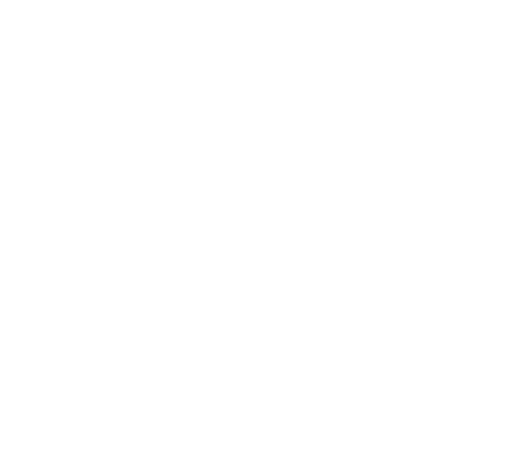 First Vector Graphic